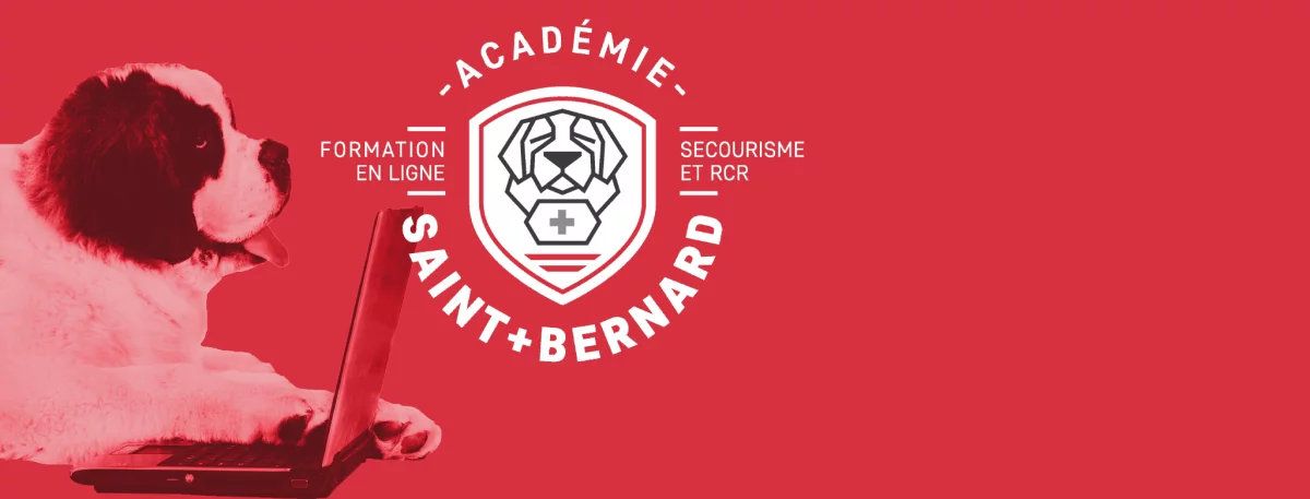 bernie-logo-asb